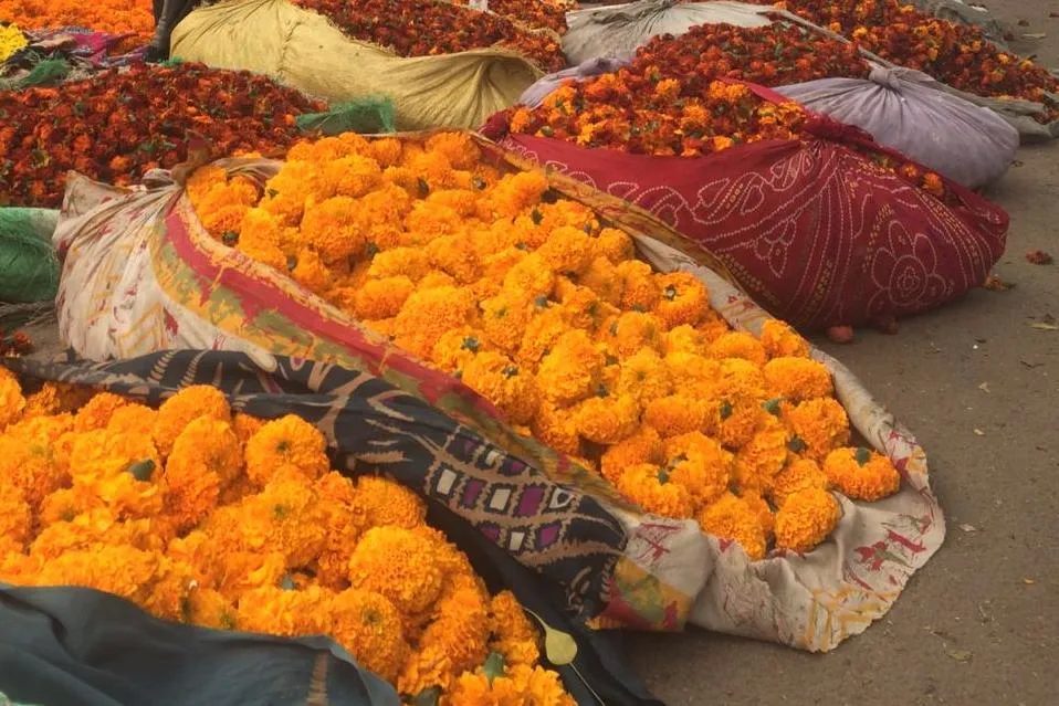 5-Day Golden Triangle Tour